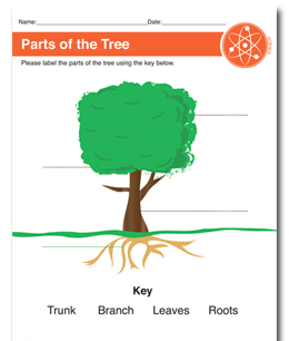 Tree Parts Printable