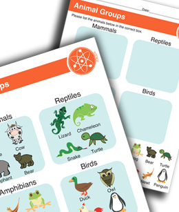 Animal Groups Printable