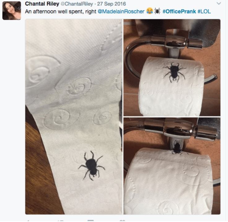 spider on toilet paper