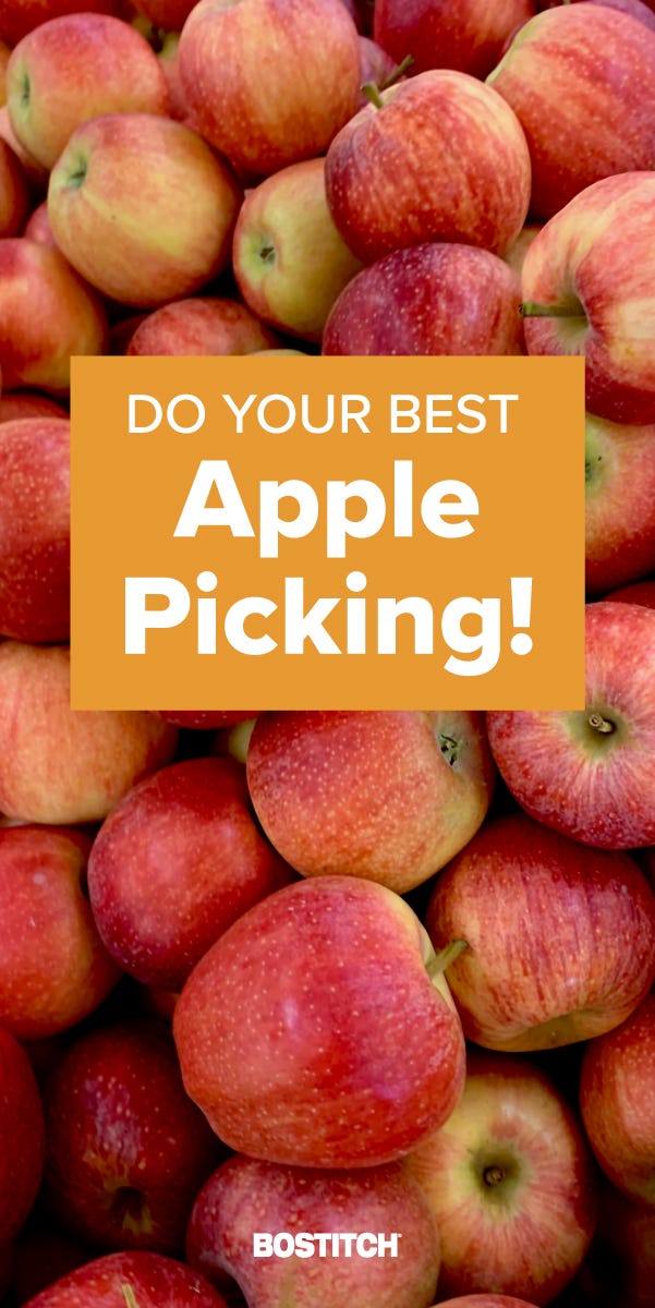 apple picking pinterest