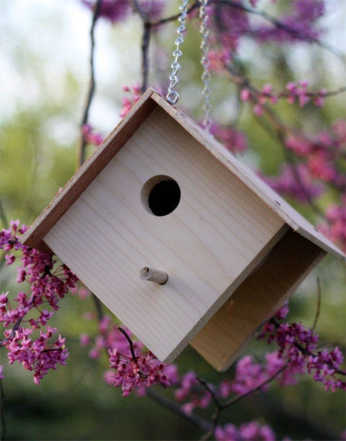 5 DIY Birdhouse Designs and Ideas Bostitch Office